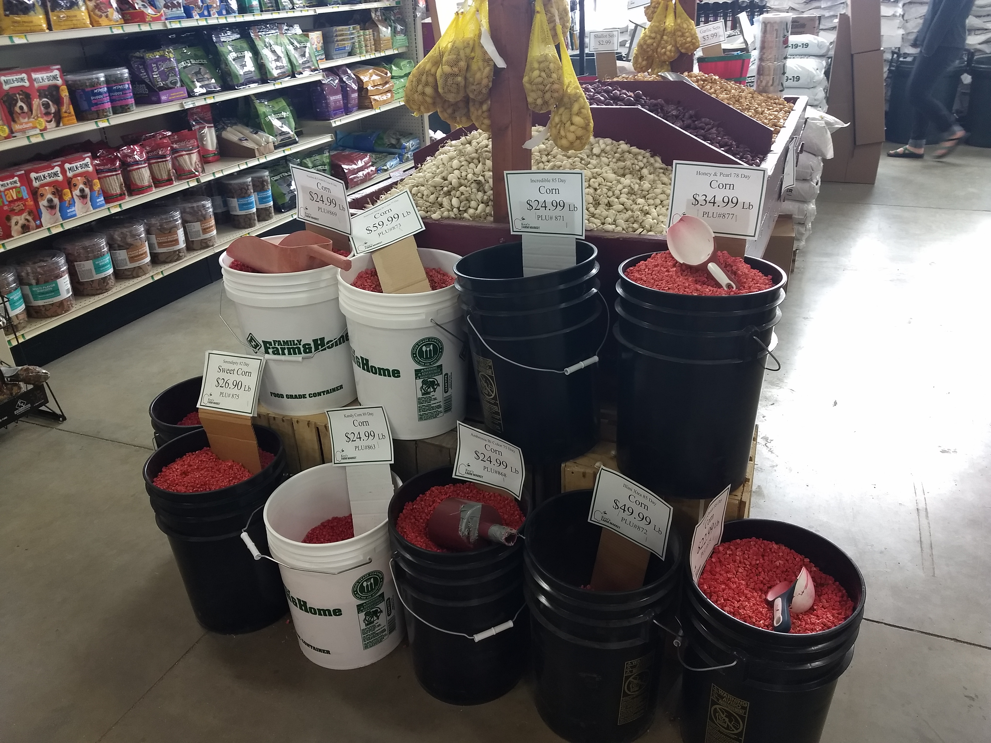 Treated sweet corn seed is not candy and should not be within reach of hungry kids.